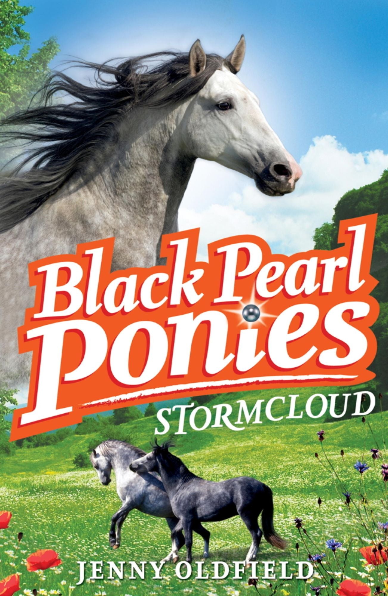 Black Pearl Ponies: 4: Stormcloud