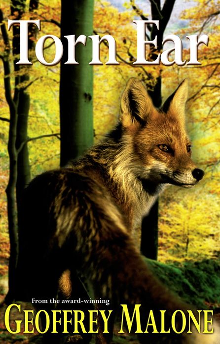 Stories from the Wild 2: Torn Ear