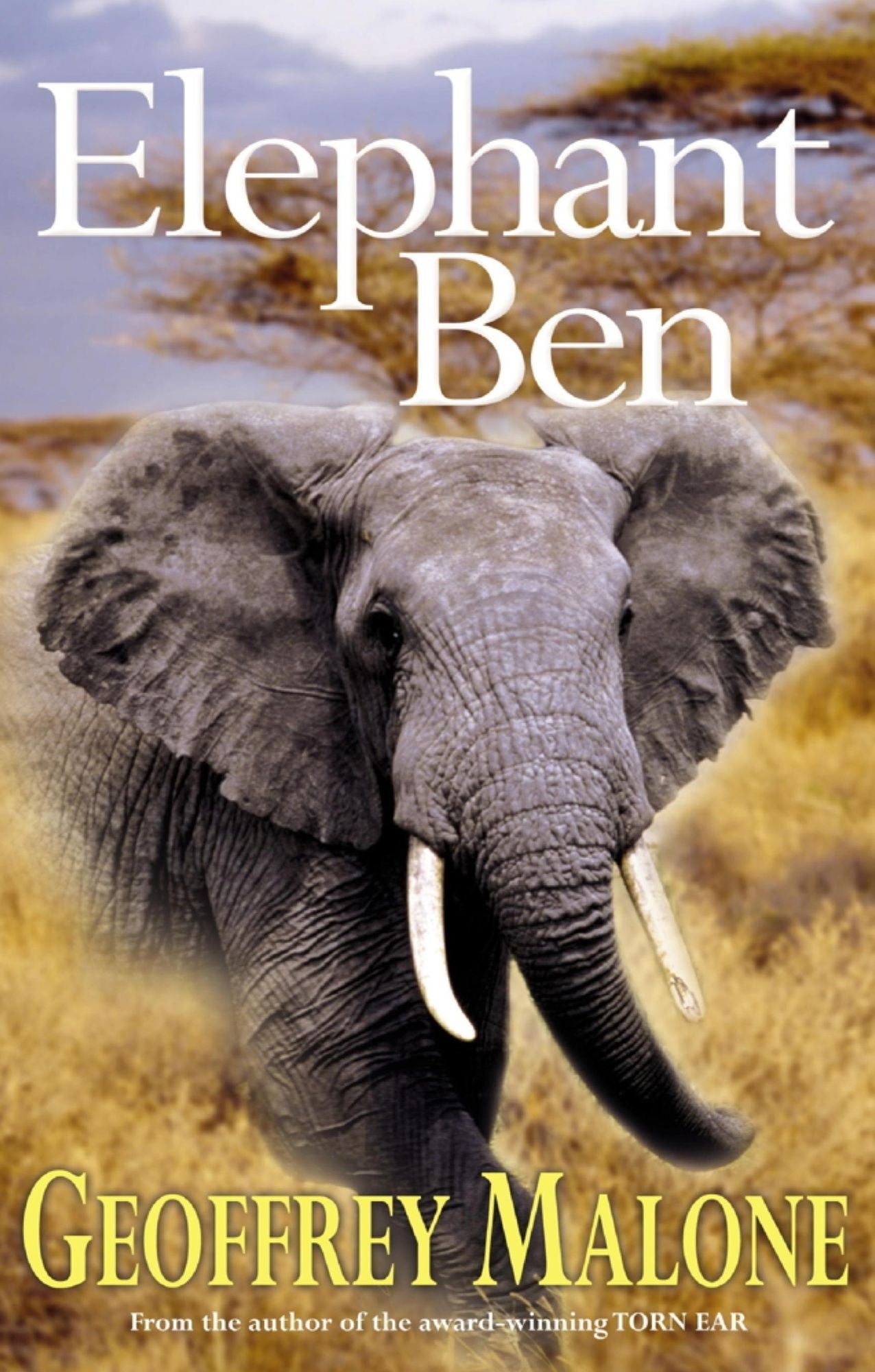 Stories from the Wild 5: Elephant Ben