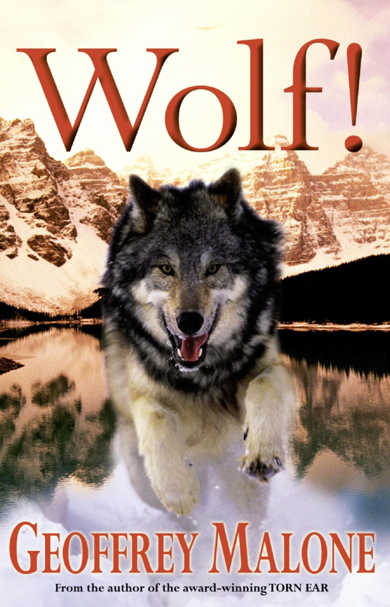 Stories from the Wild 6: Wolf