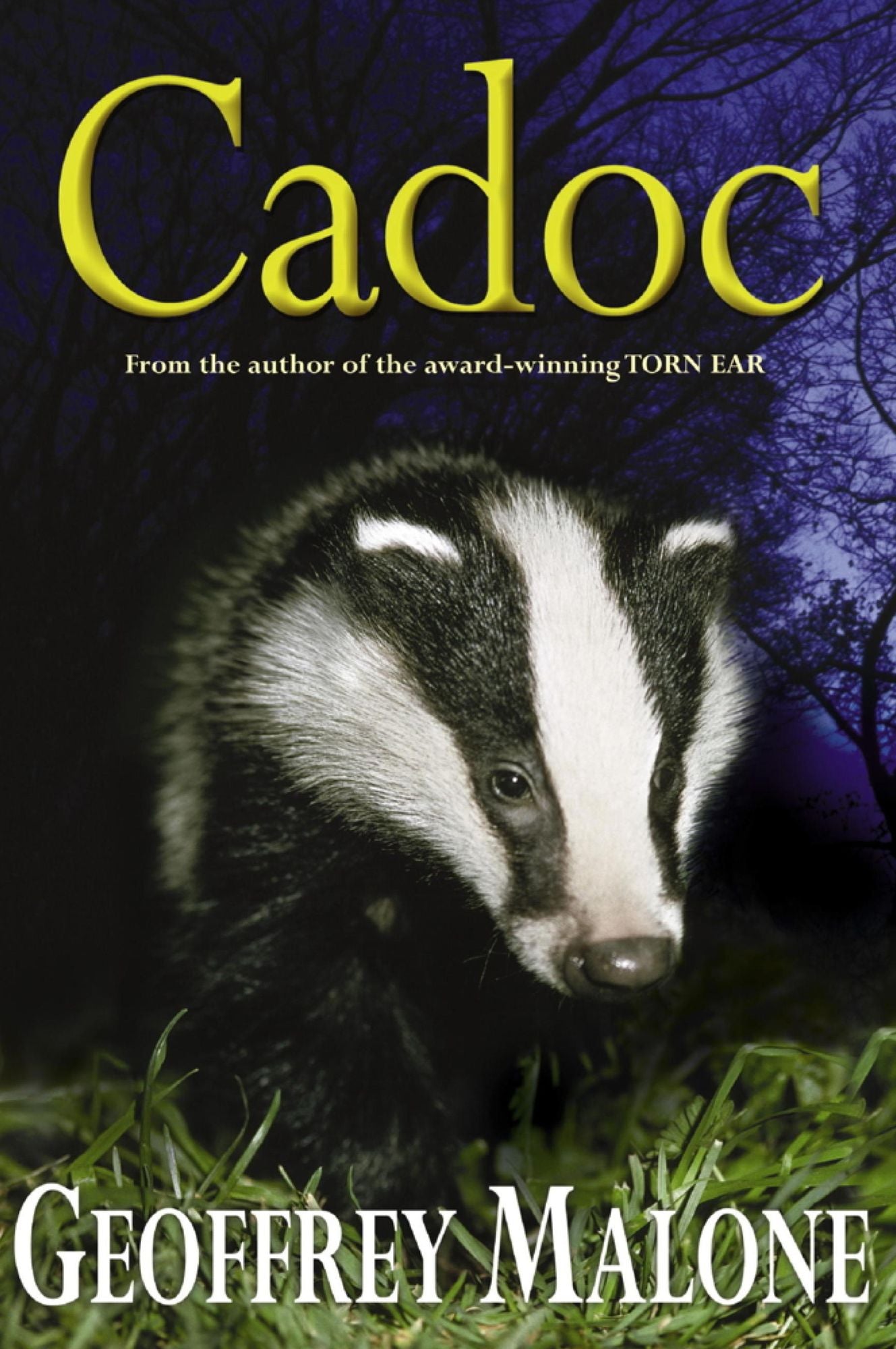 Stories from the Wild 7: Cadoc