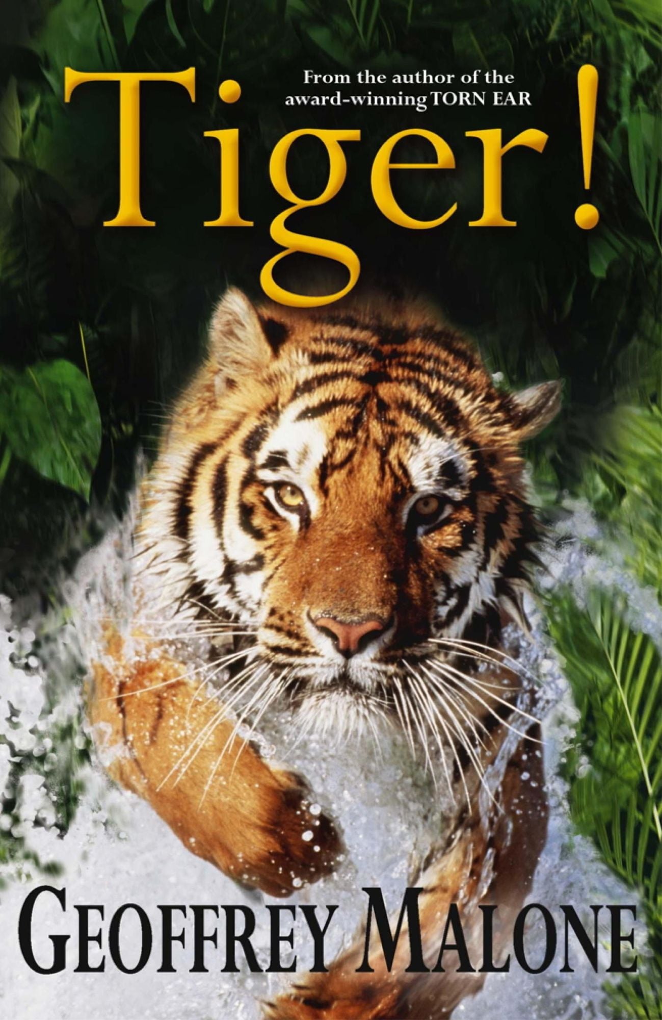 Stories from the Wild 8: Tiger