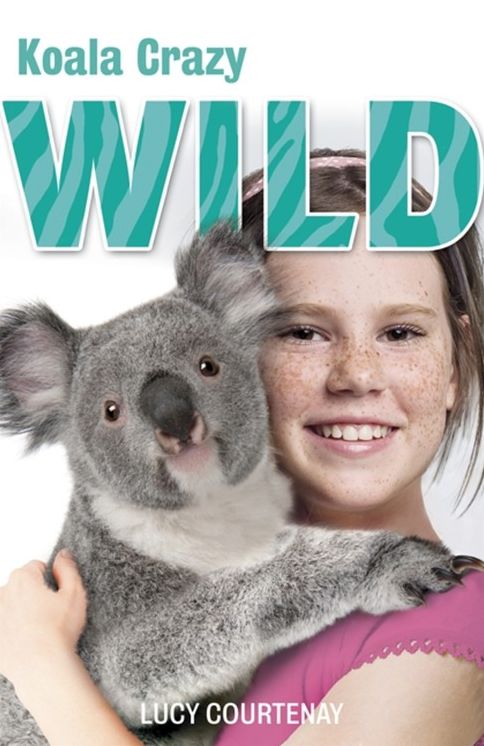 Koala Crazy