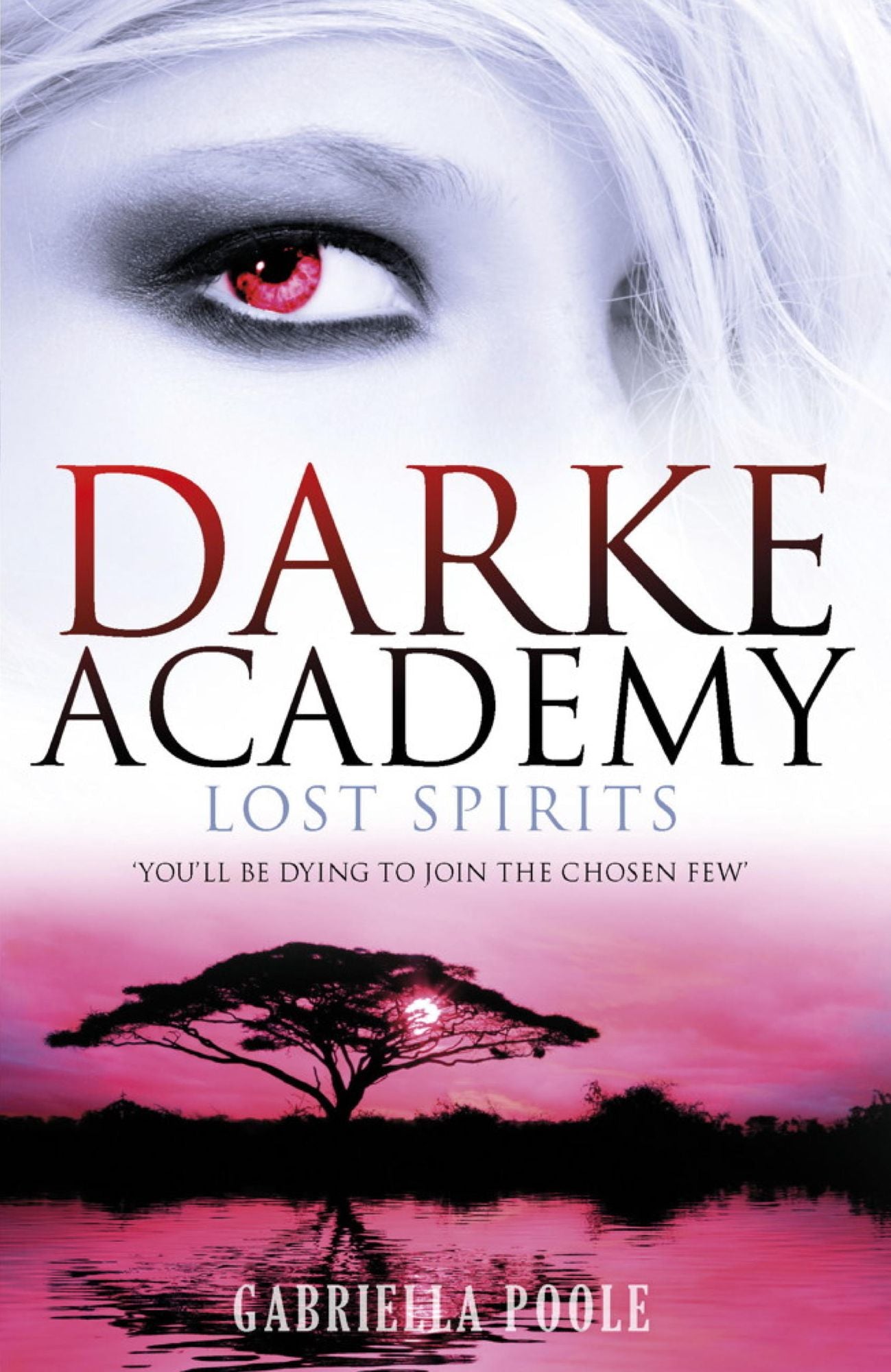 Darke Academy: 4: Lost Spirits