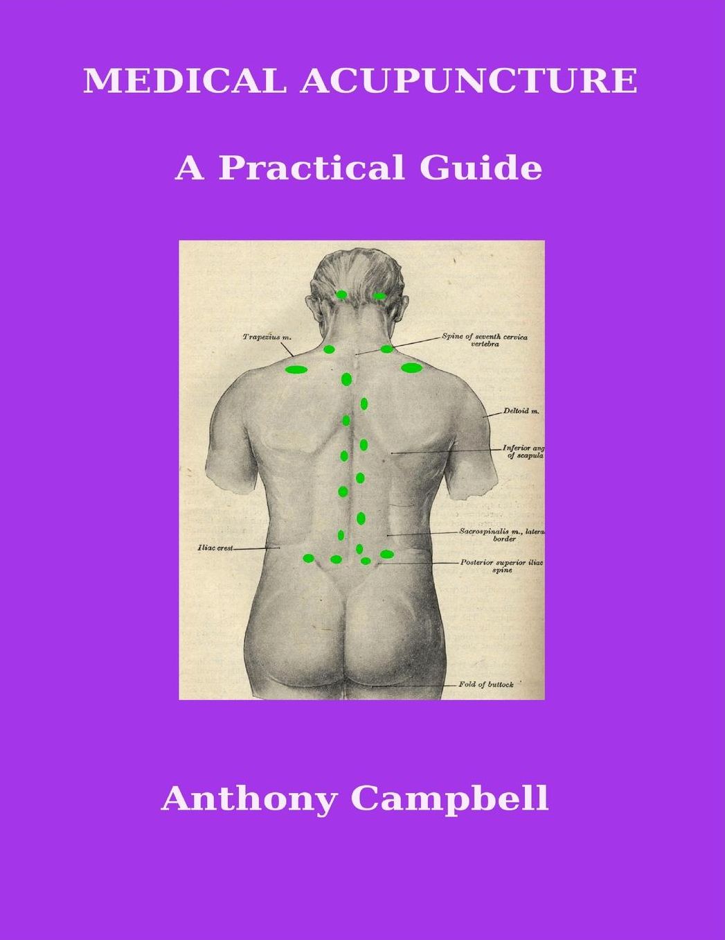 Medical Acupuncture