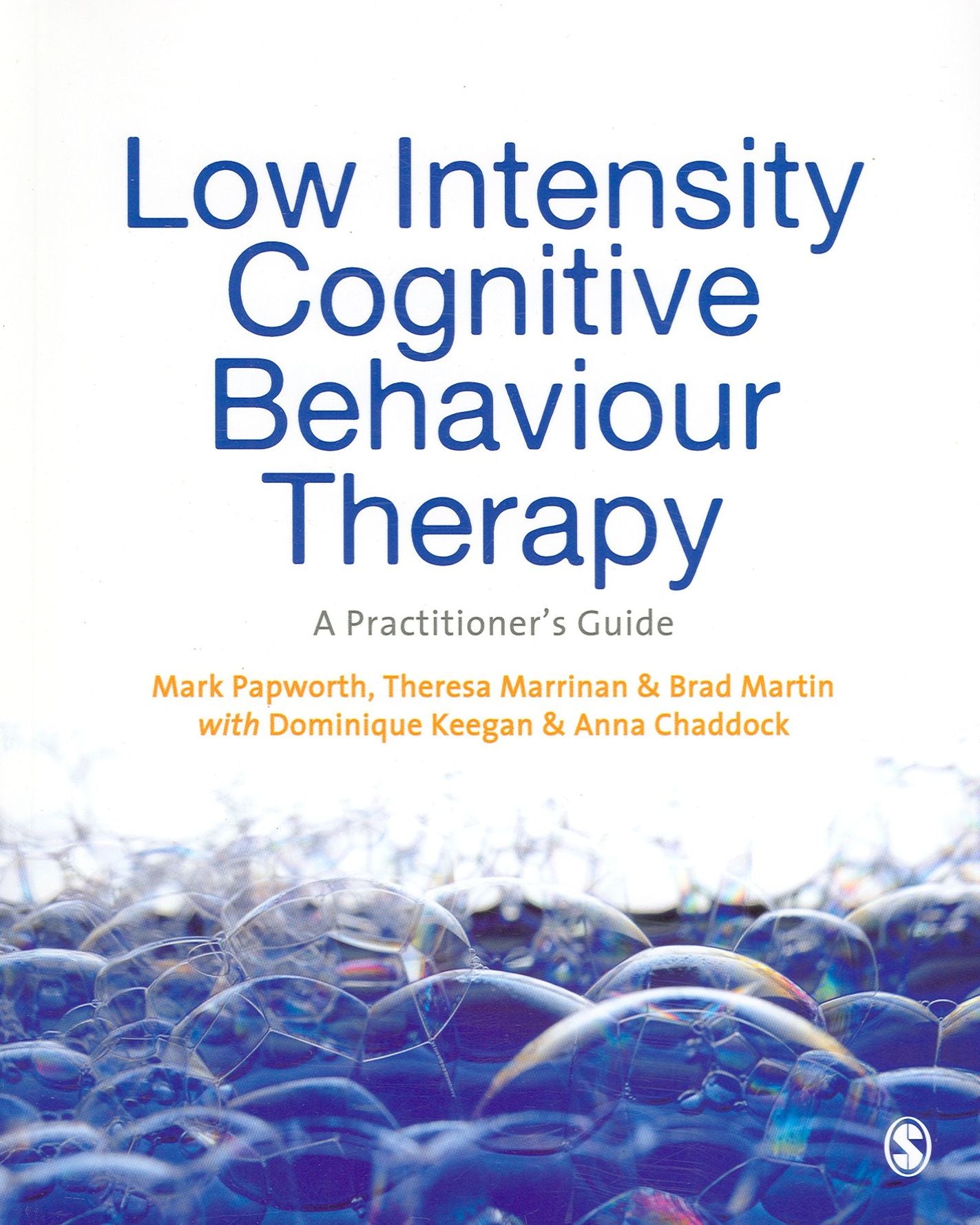 Low Intensity Cognitive-Behaviour Therapy: A Practitioner's Guide