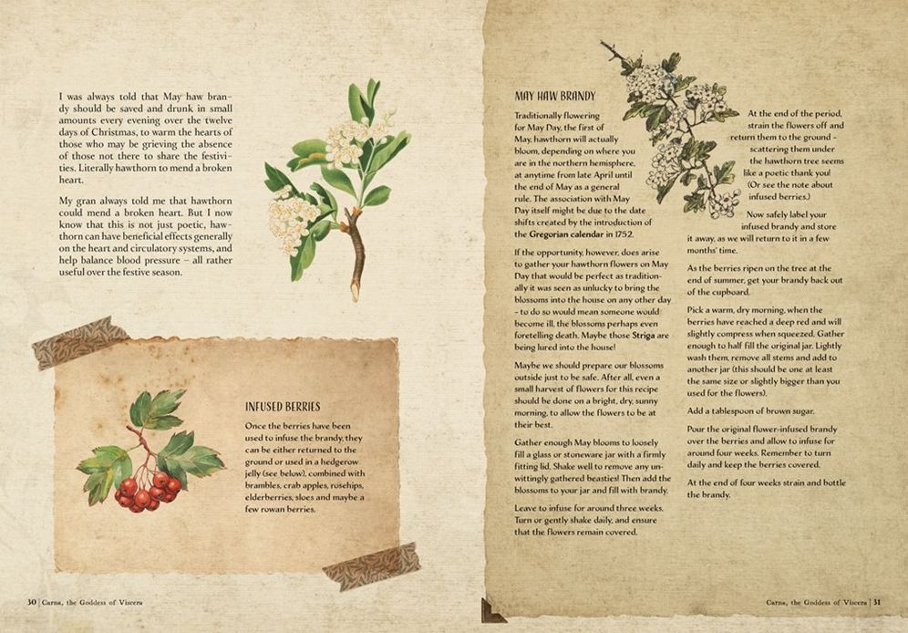 The Time Traveller's Herbal: Stories and Recipes from the Historical Apothecary Cabinet