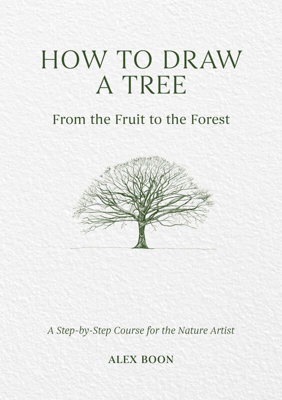 How to Draw a Tree: From the Fruit to the Forest