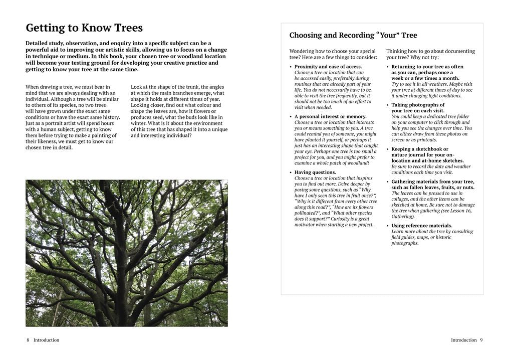 How to Draw a Tree: From the Fruit to the Forest