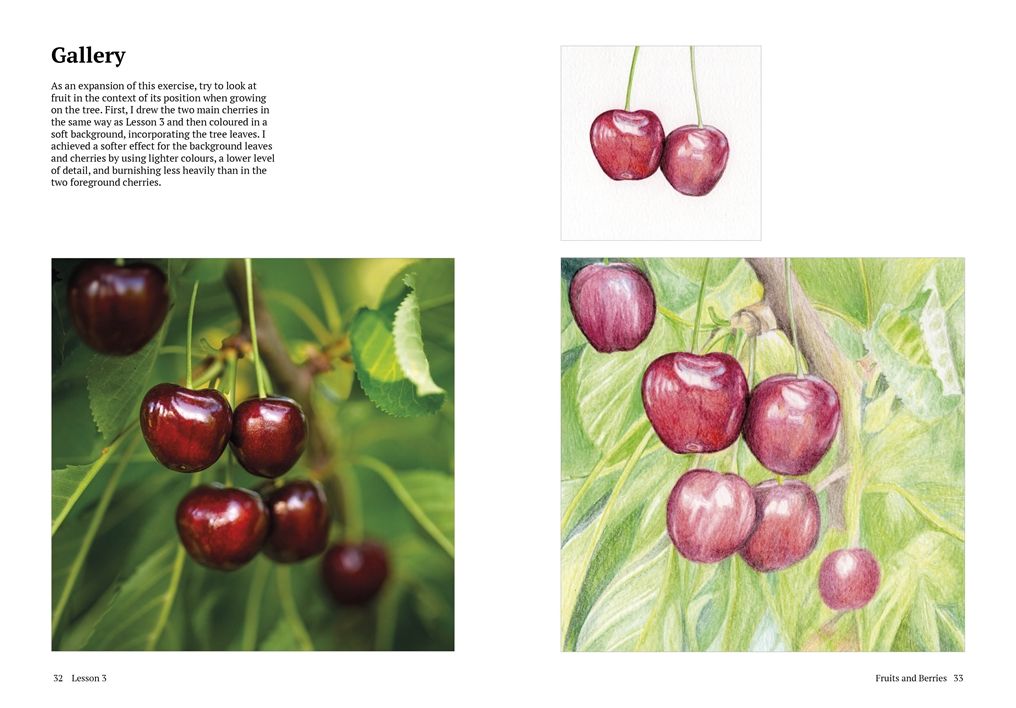How to Draw a Tree: From the Fruit to the Forest