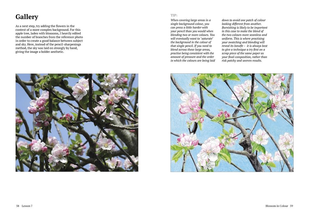 How to Draw a Tree: From the Fruit to the Forest