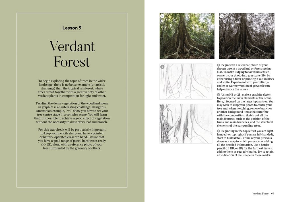 How to Draw a Tree: From the Fruit to the Forest