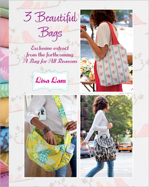 3 Beautiful Bags (PagePerfect NOOK Book)