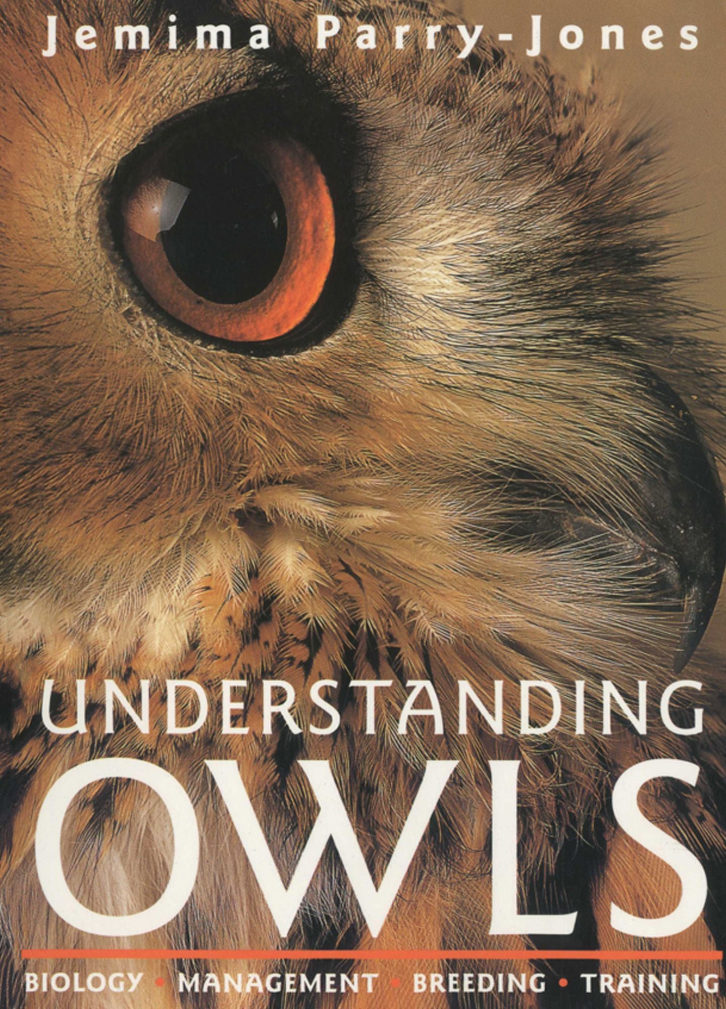 Understanding Owls