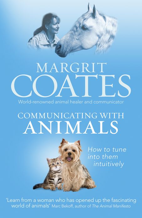 Communicating with Animals: How to tune into them intuitively