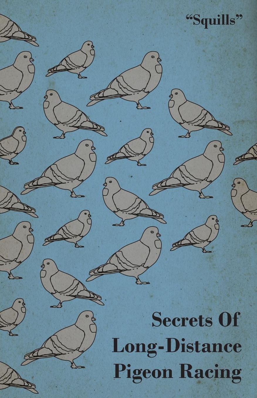 Secrets of Long-Distance Pigeon Racing
