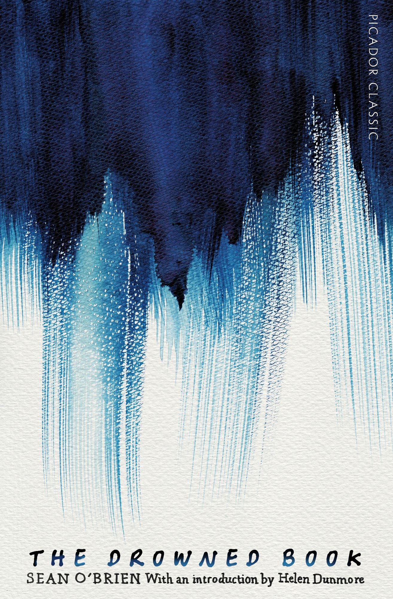 The Drowned Book (Picador Classic)