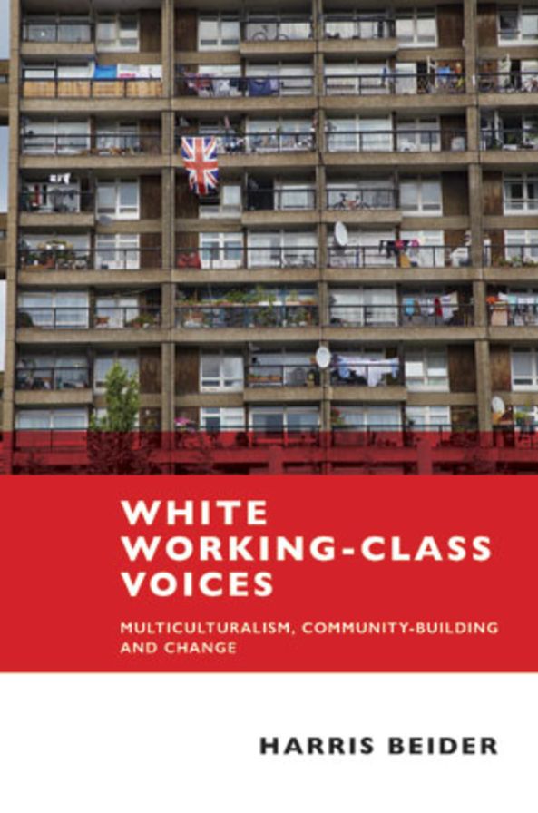 White Working Class Voices: Multiculturalism, Community-Building and Change