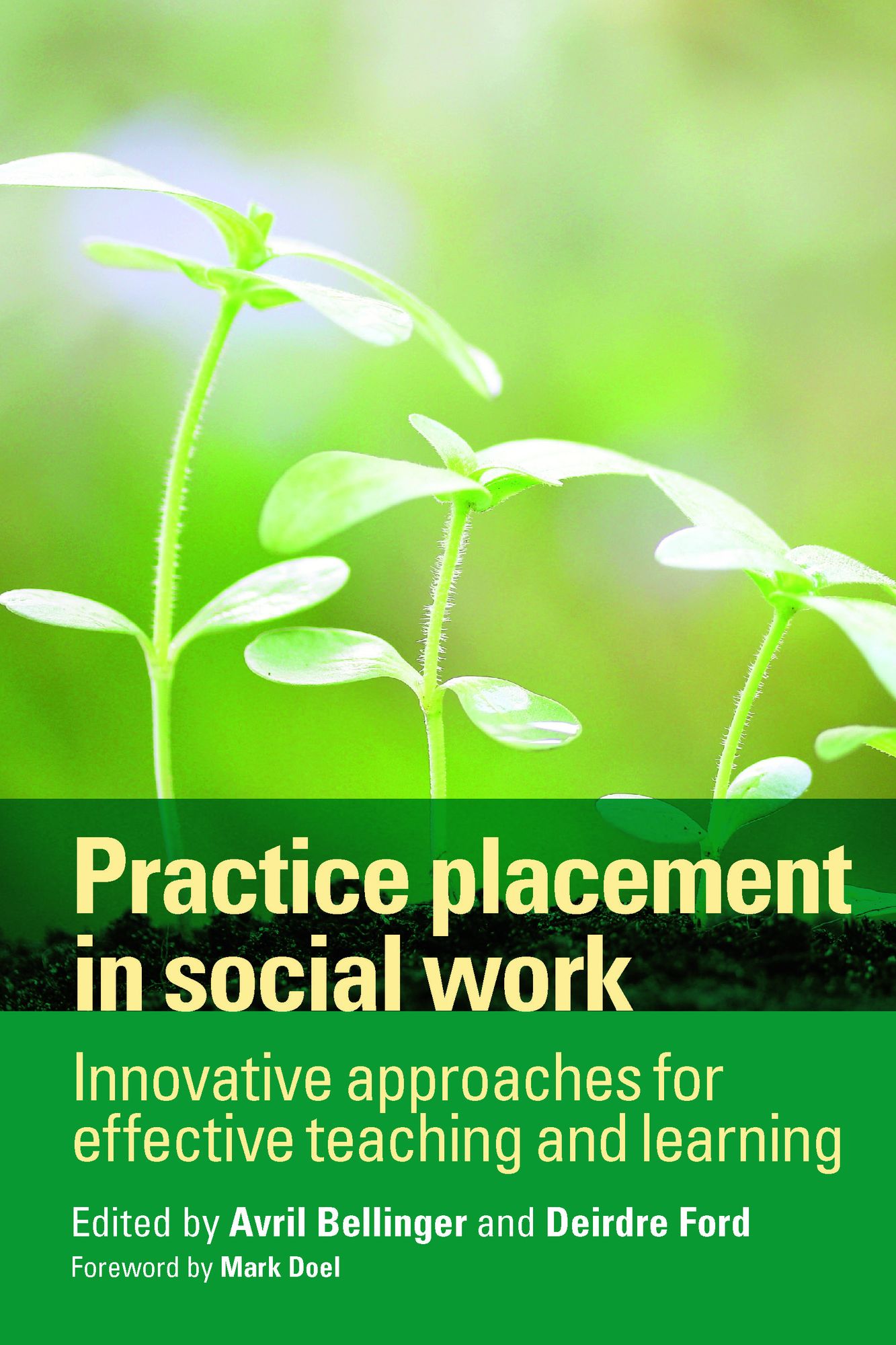 Practice placement in social work: Innovative approaches for effective teaching and learning