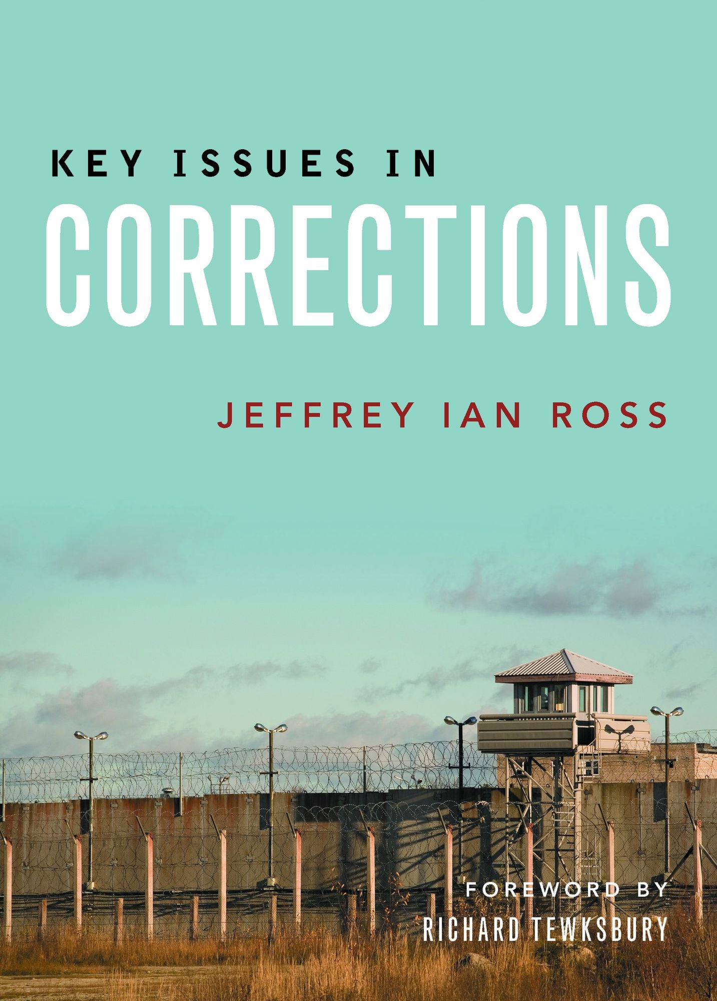 Key issues in corrections