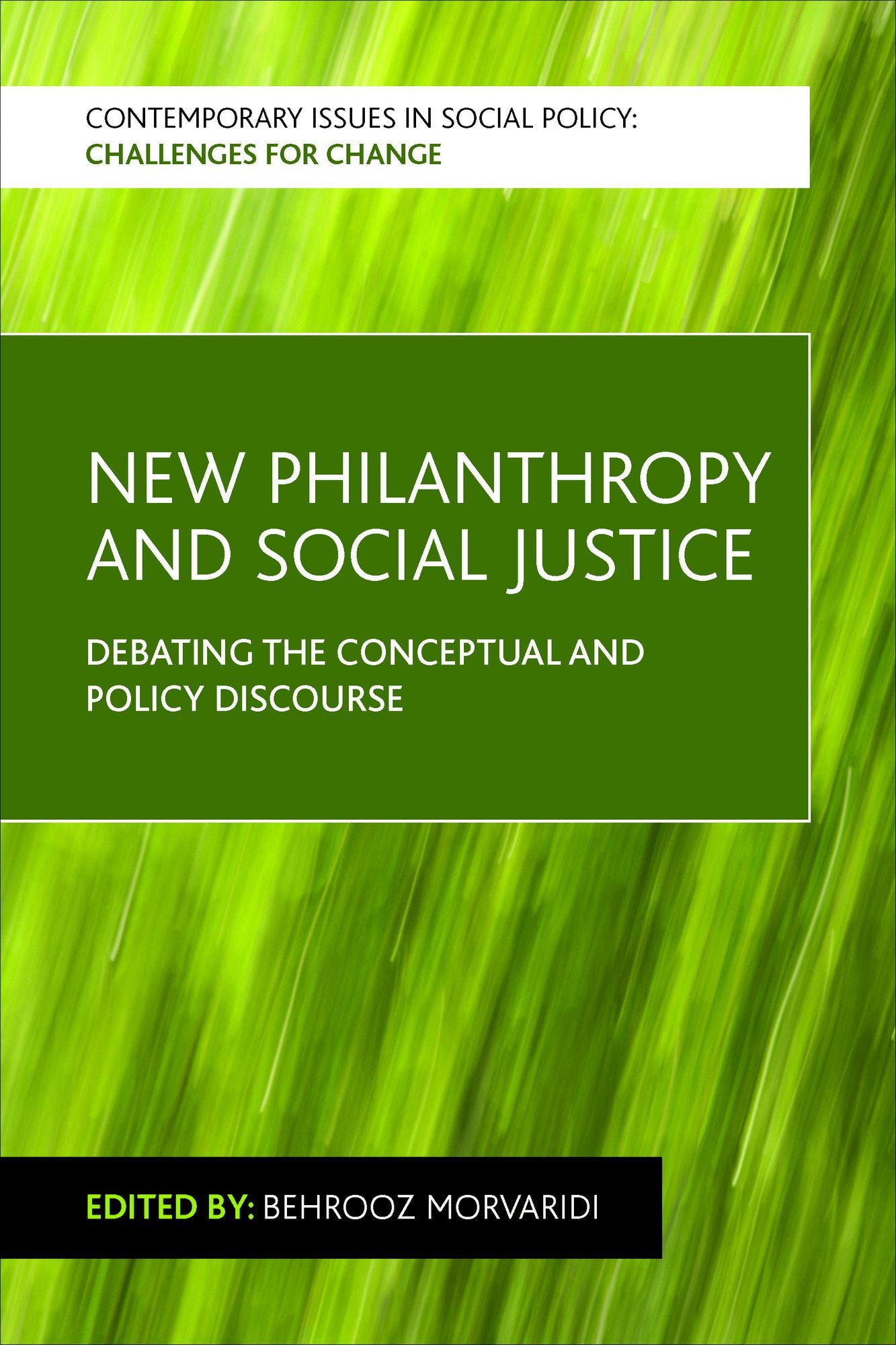 New philanthropy and social justice: Debating the conceptual and policy discourse