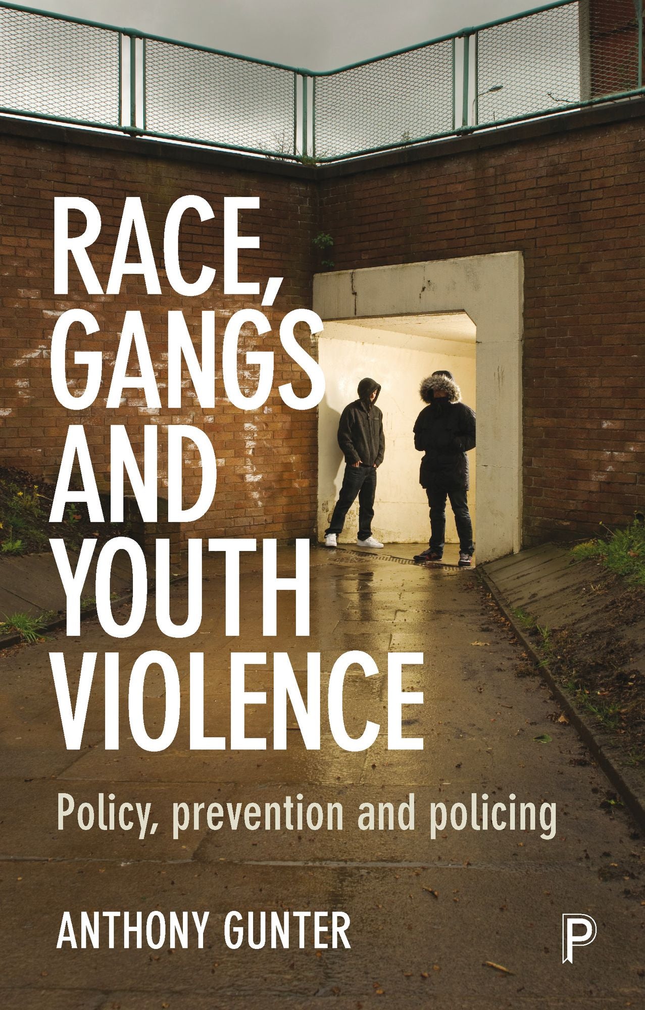 Race, gangs and youth violence: Policy, prevention and policing
