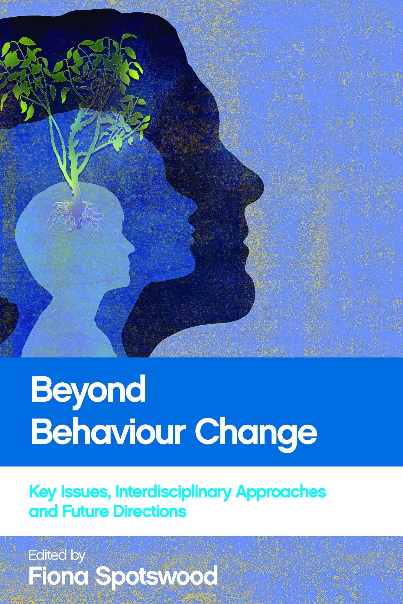 Beyond behaviour change: Key issues, interdisciplinary approaches and future directions