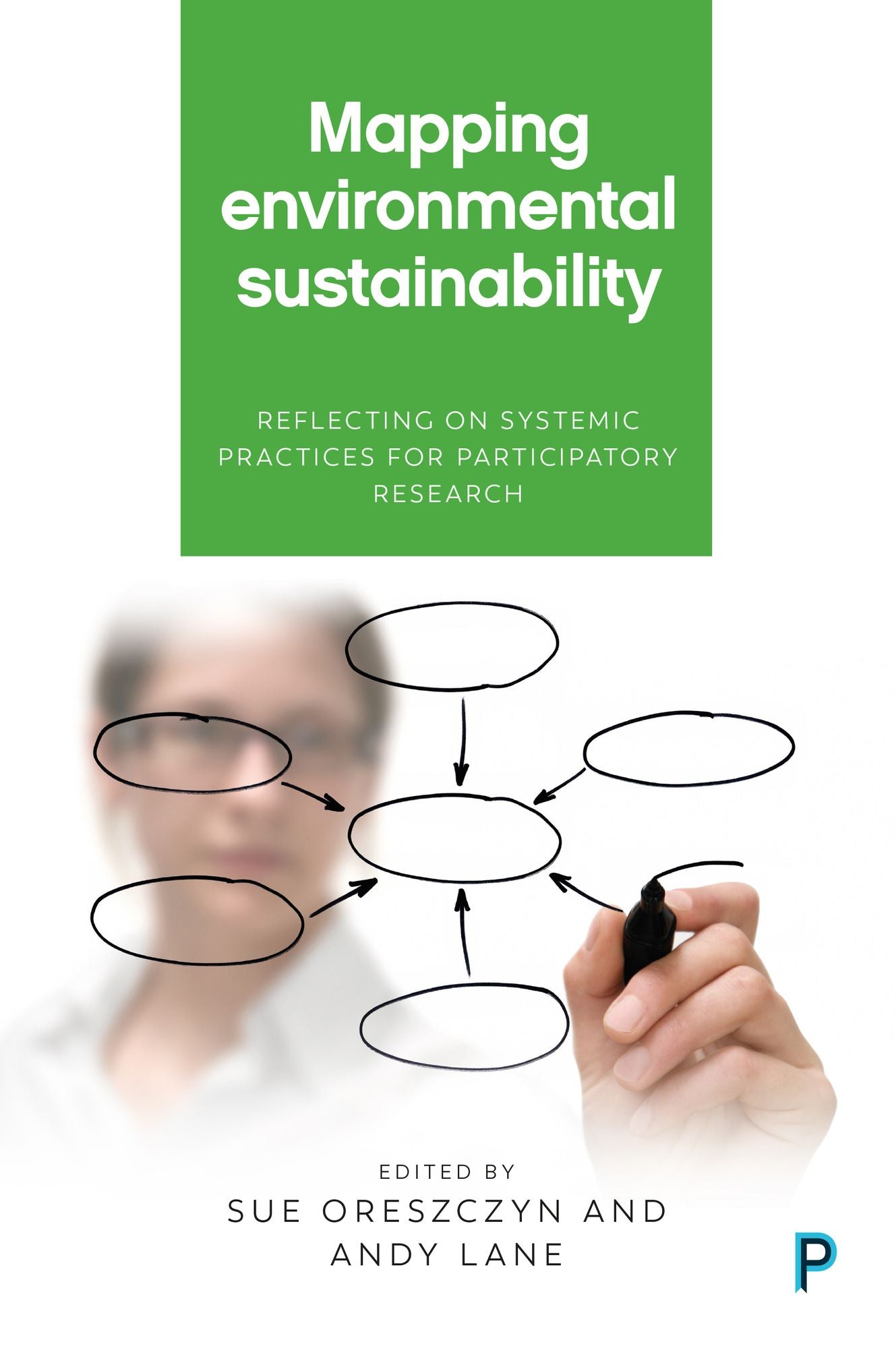 Mapping environmental sustainability: Reflecting on systemic practices for participatory research