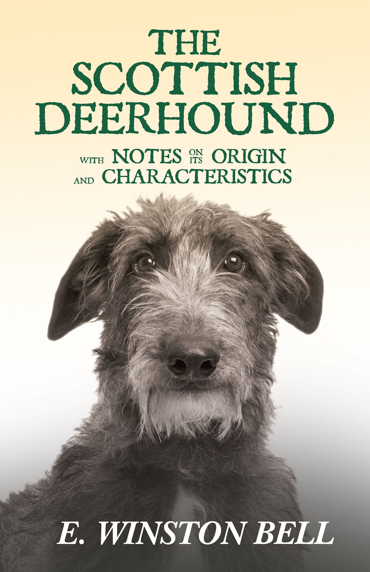 The Scottish Deerhound with Notes on Its Origin and Characteristics