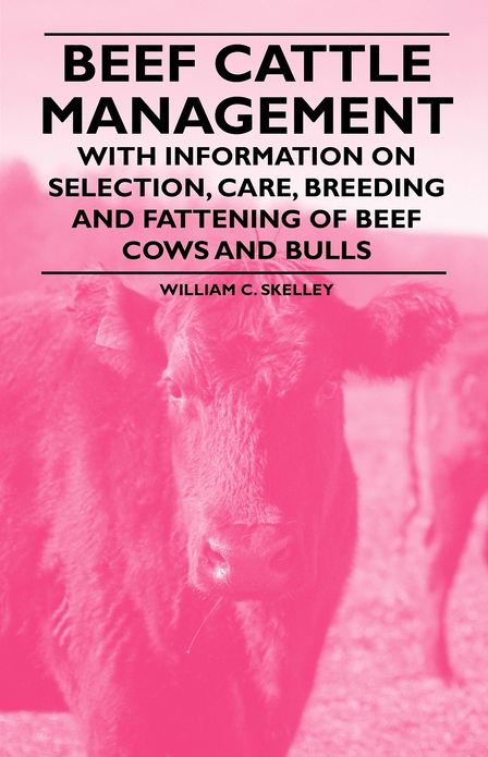 Beef Cattle Management - With Information on Selection, Care, Breeding and Fattening of Beef Cows and Bulls