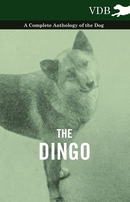 The Dingo - A Complete Anthology of the Dog -