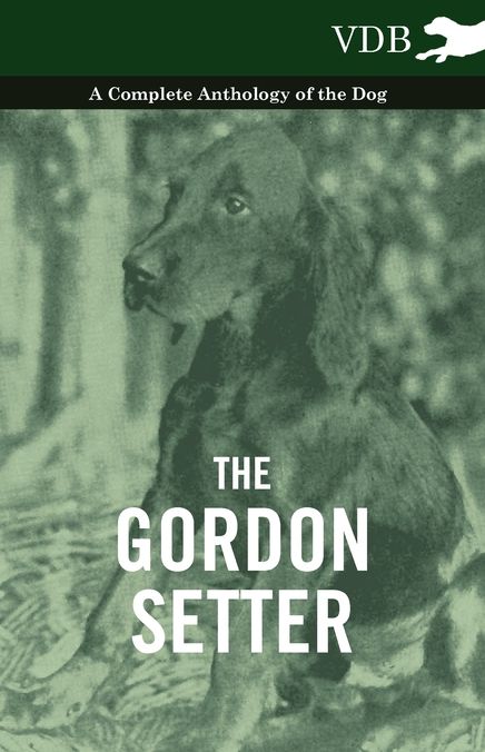 The Gordon Setter - A Complete Anthology of the Dog