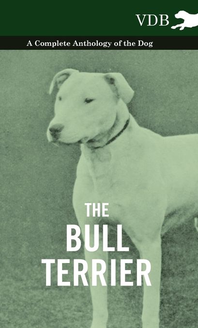 The Bull Terrier - A Complete Anthology of the Dog -