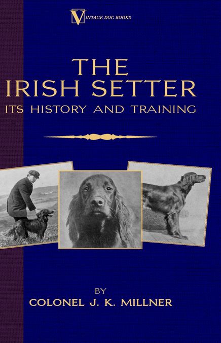 The Irish Setter - Its History & Training (A Vintage Dog Books Breed Classic)