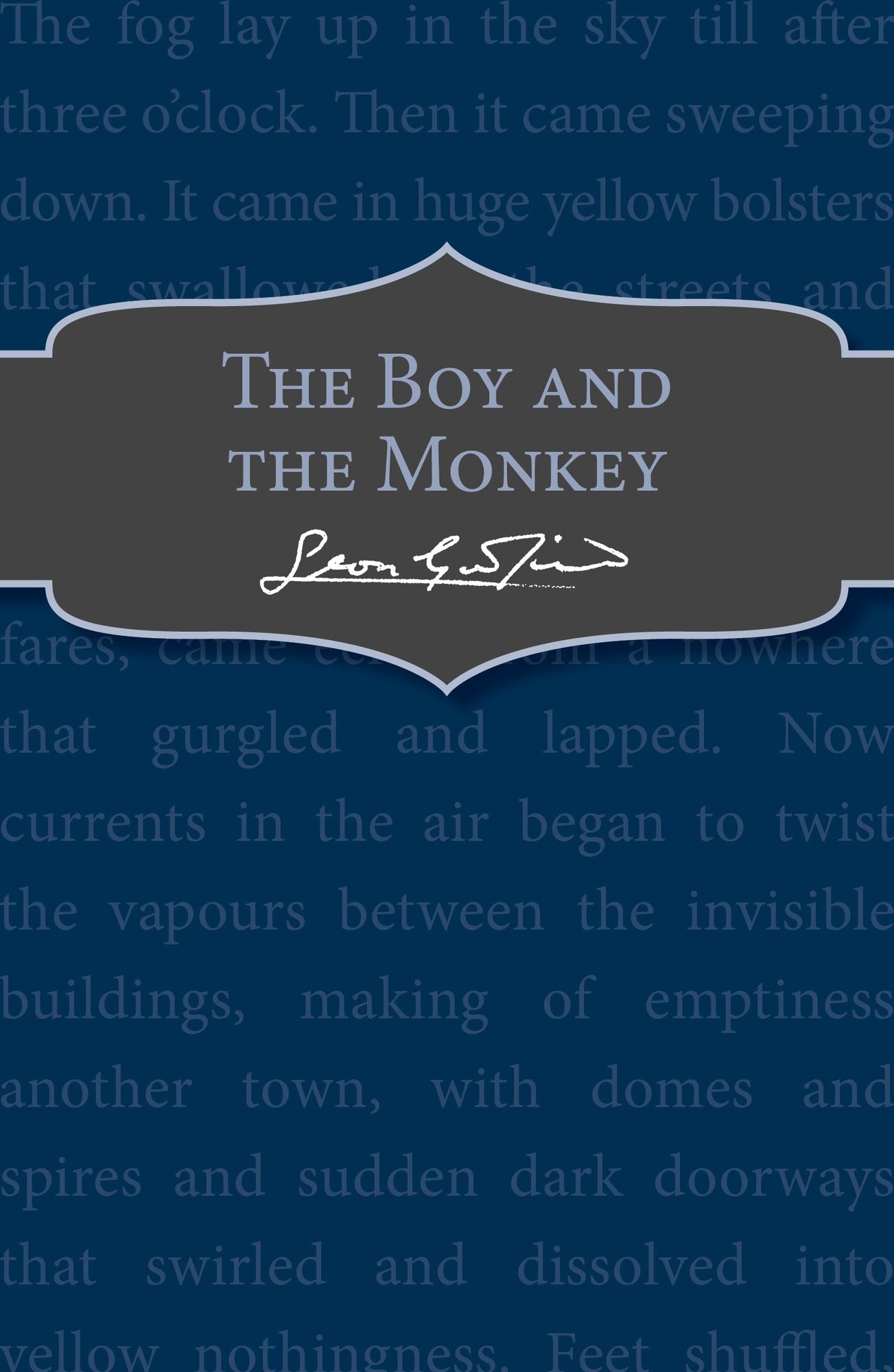 The Boy and the Monkey