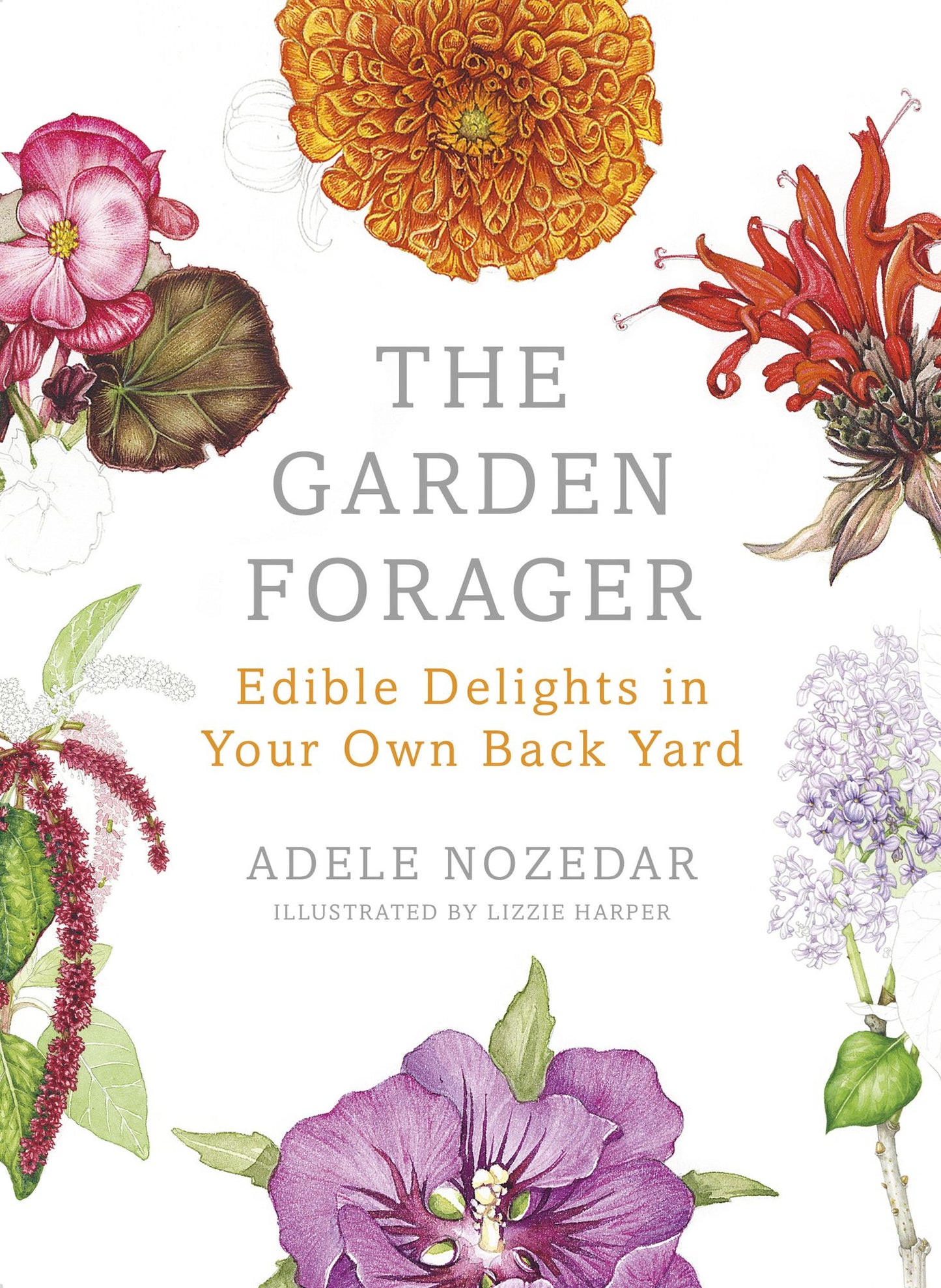 The Garden Forager: Edible Delights in your Own Back Yard