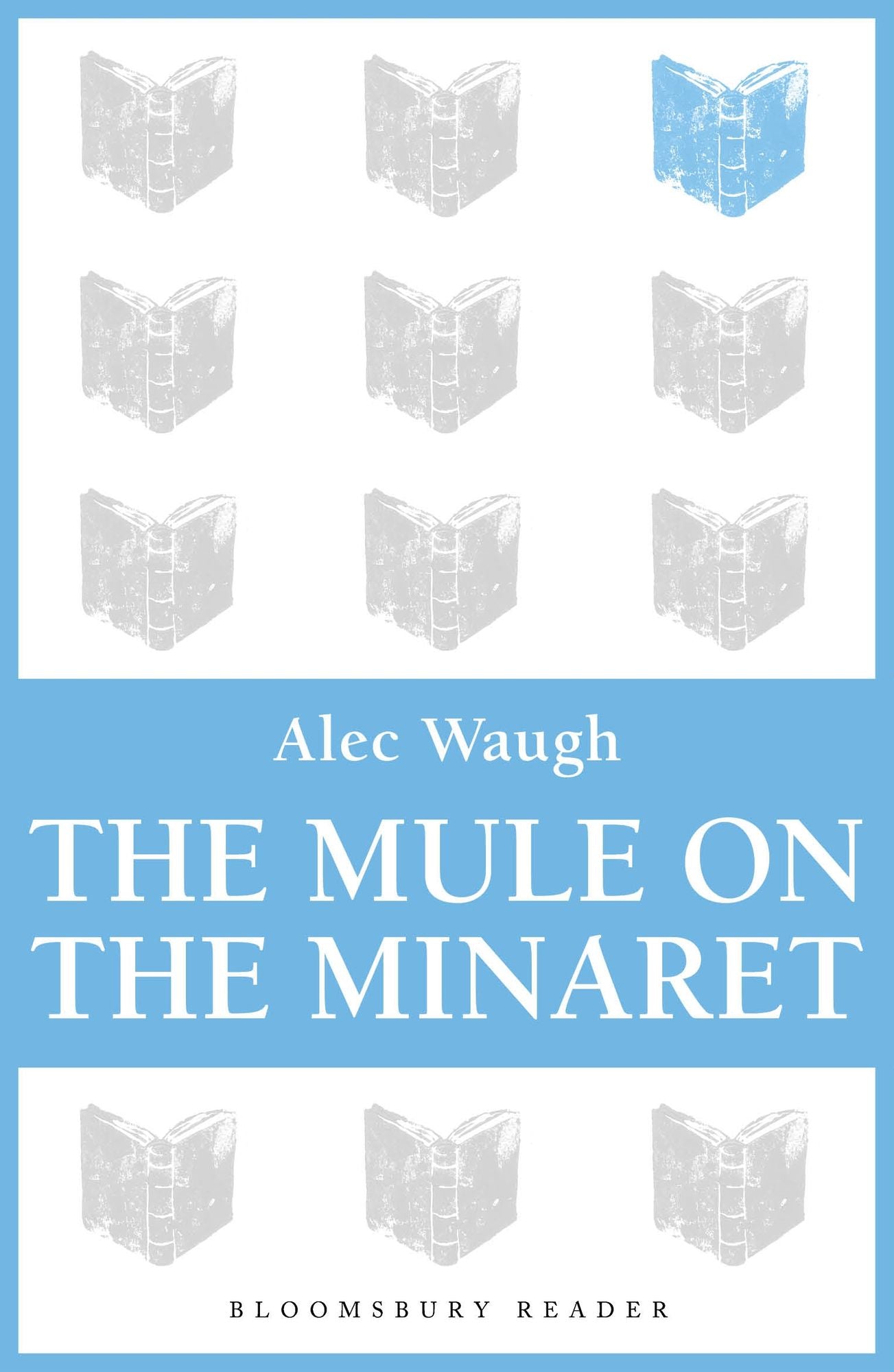 The Mule on the Minaret: A Novel about the Middle East