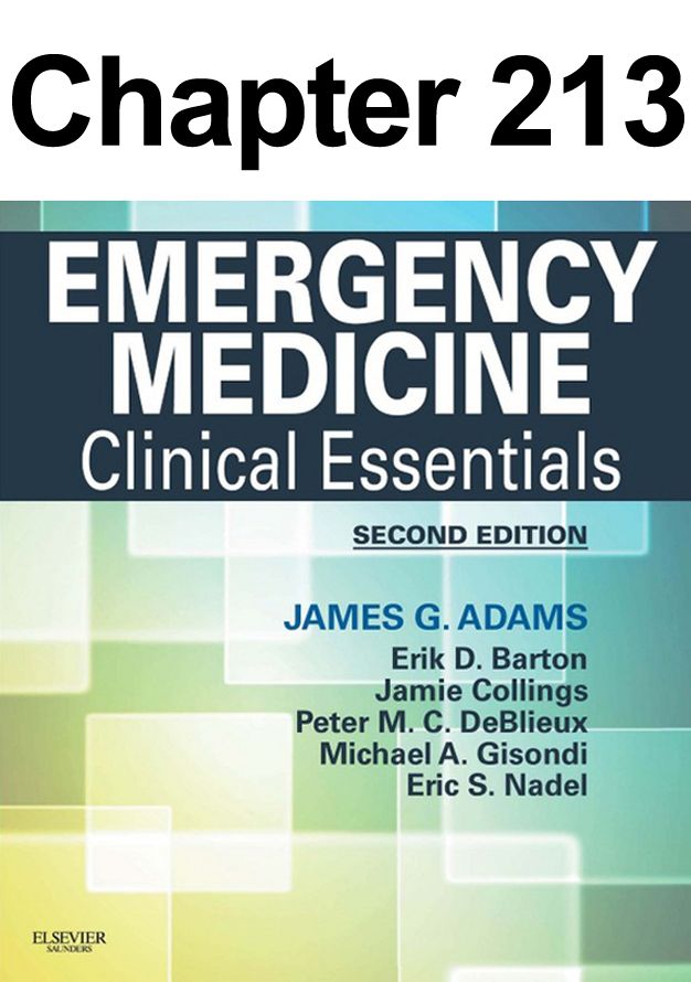 Documentation in the Emergency Department: Chapter 213 of Emergency Medicine