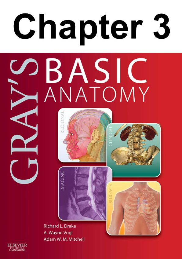 Thorax: Chapter 3 of Gray's Basic Anatomy