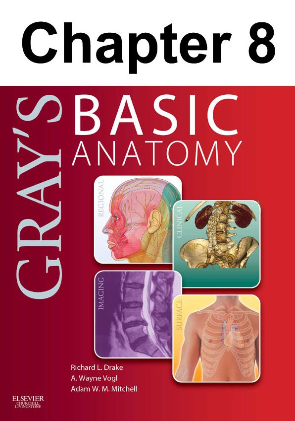 Head and Neck: Chapter 8 of Gray's Basic Anatomy