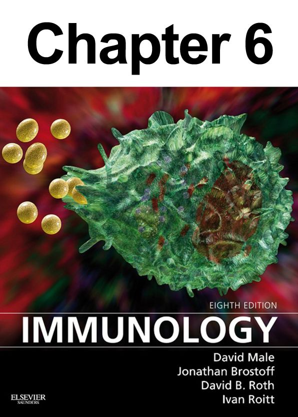 Mechanisms of Innate Immunity: Chapter 6 of Immunology