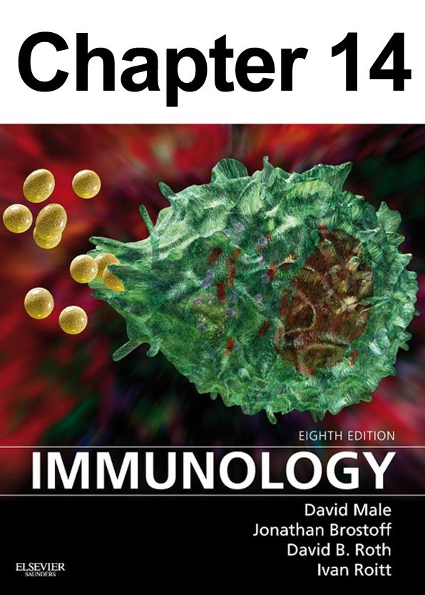Immunity to Bacteria and Fungi: Chapter 14 of Immunology