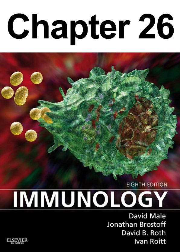 Hypersensitivity (Type IV): Chapter 26 of Immunology