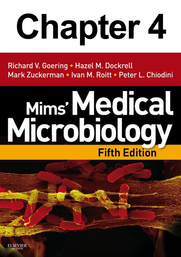 The Fungi: Chapter 4 of Mims' Medical Microbiology