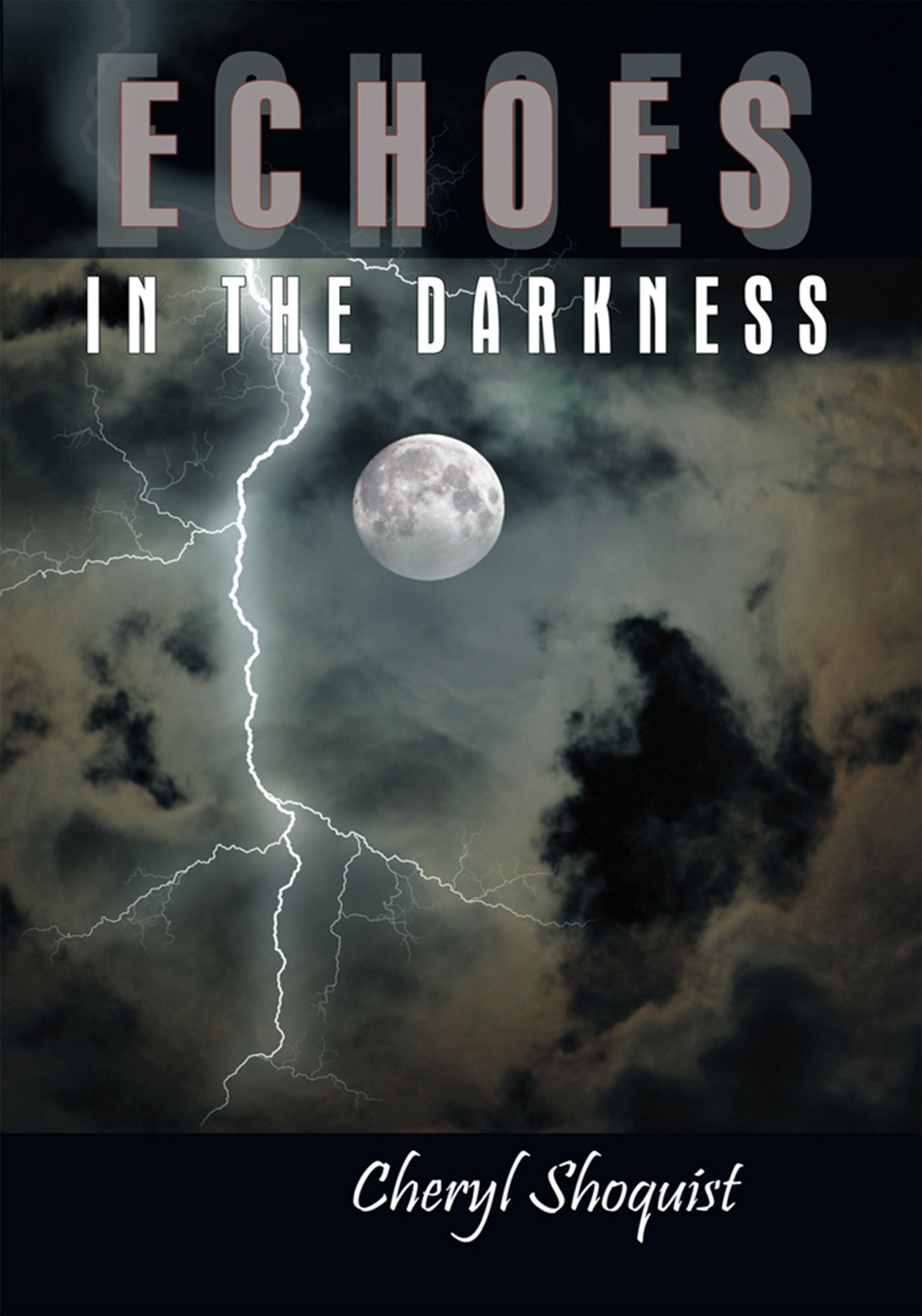 ECHOES IN THE DARKNESS