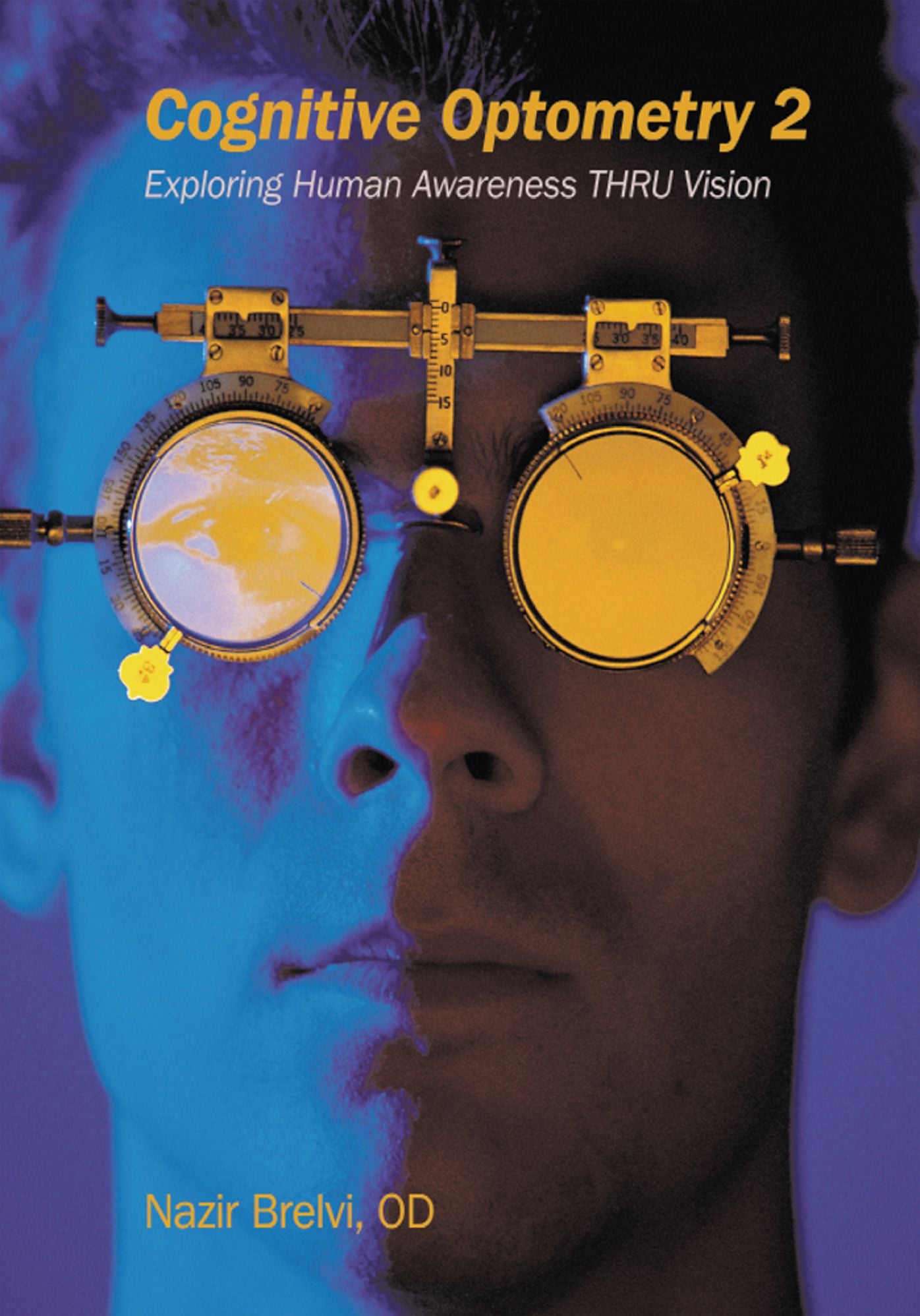 Cognitive Optometry 2: Exploring Human Awareness THRU Vision