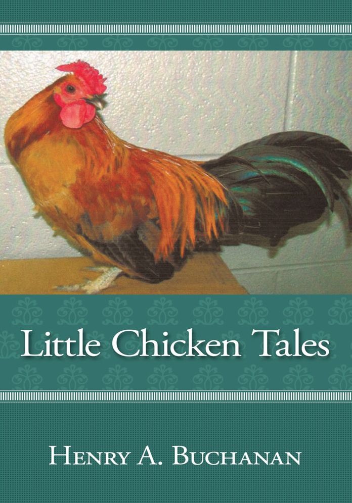 Little Chicken Tales