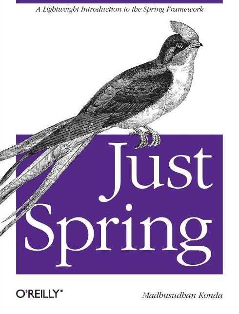 Just Spring: A Lightweight Introduction to the Spring Framework
