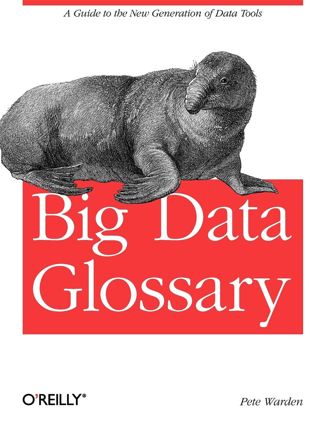 Big Data Glossary: A Guide to the New Generation of Data Tools