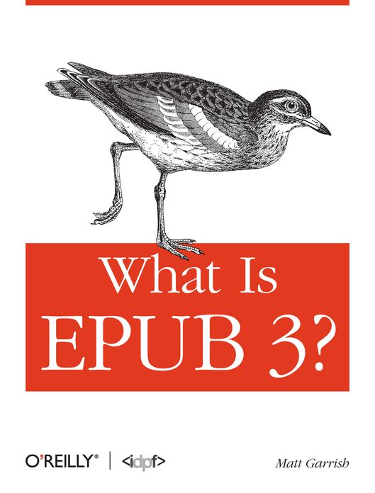 What is EPUB 3?